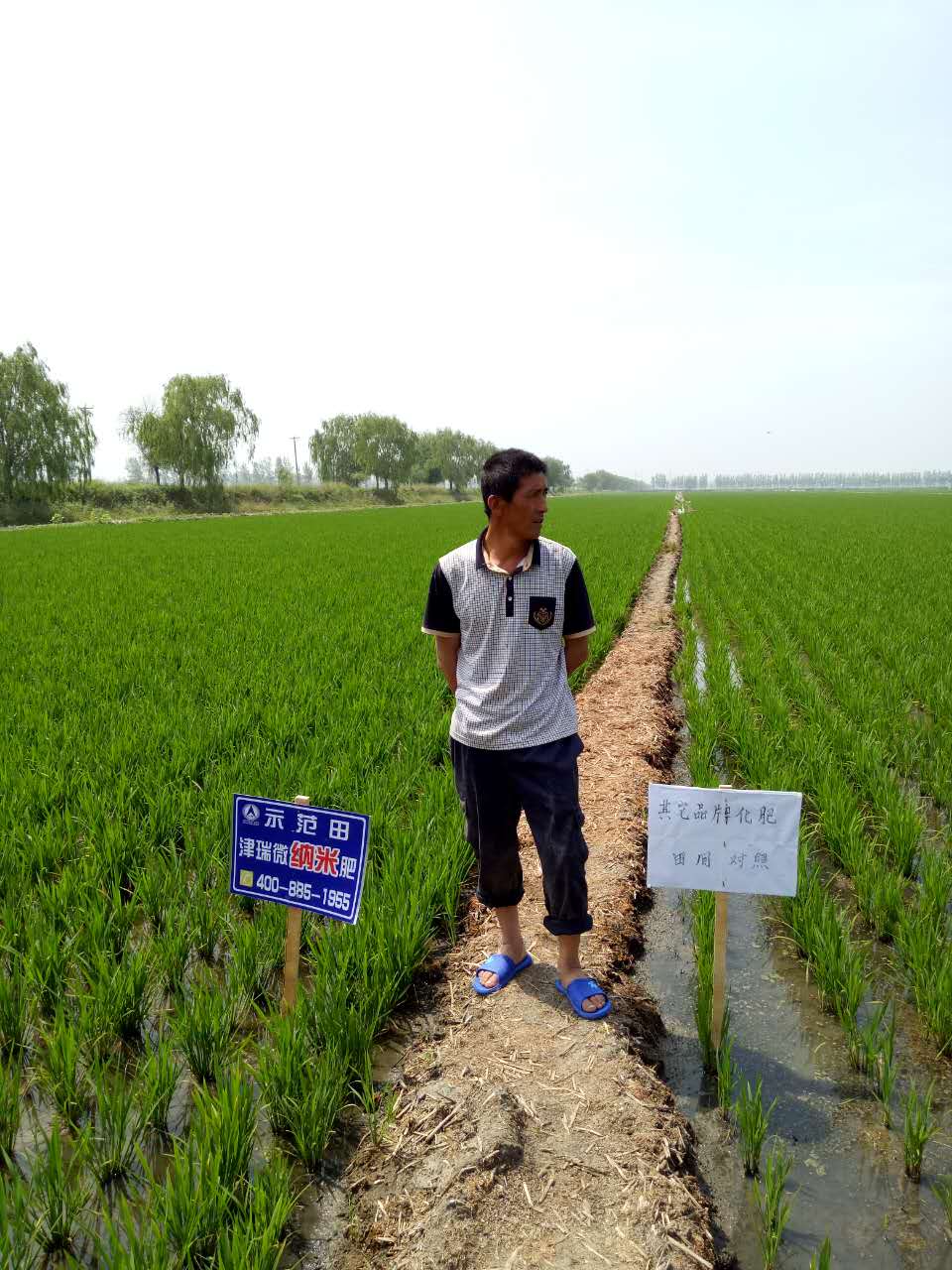 水稻案例分享
