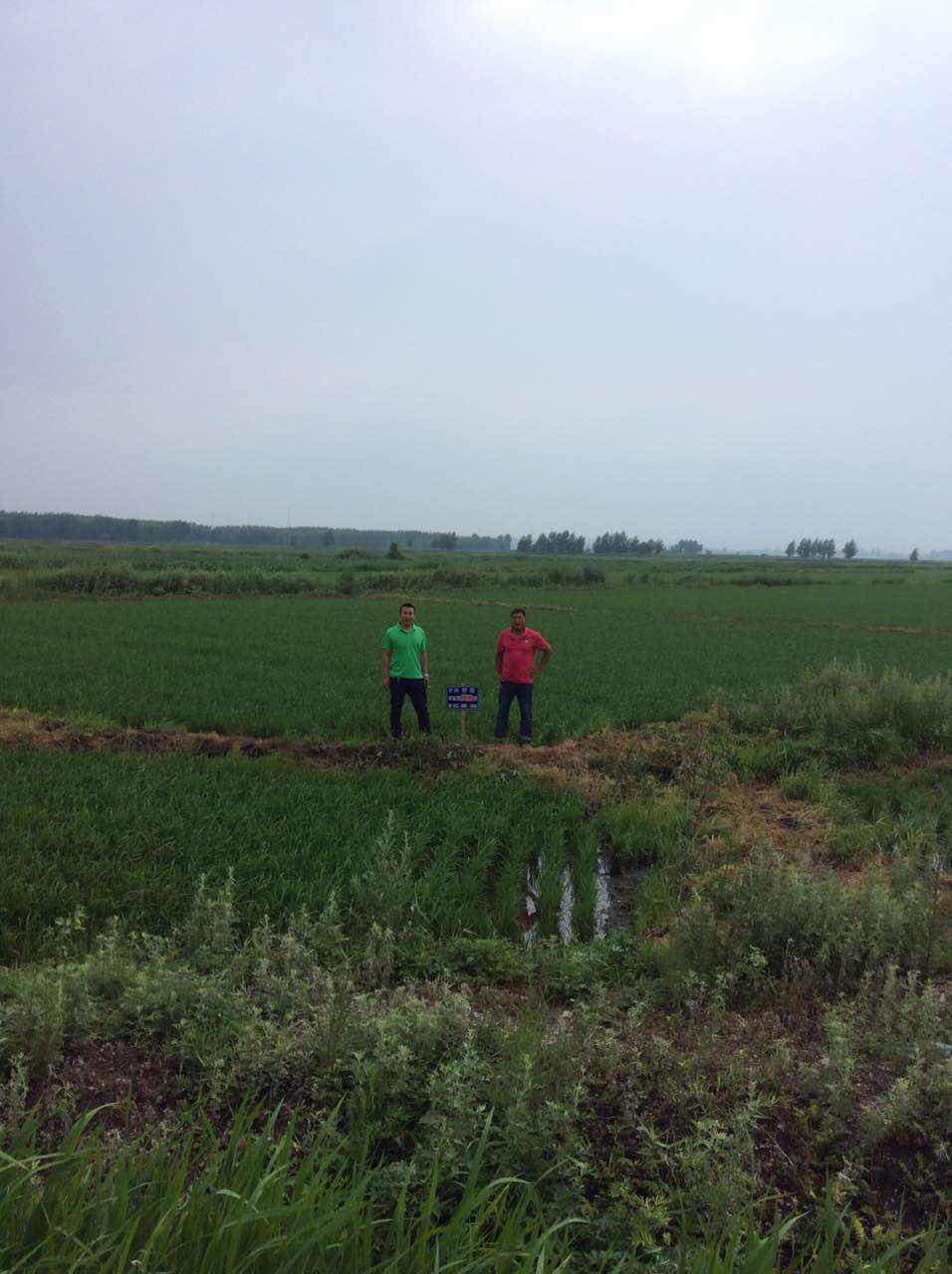 兴安盟案例分享