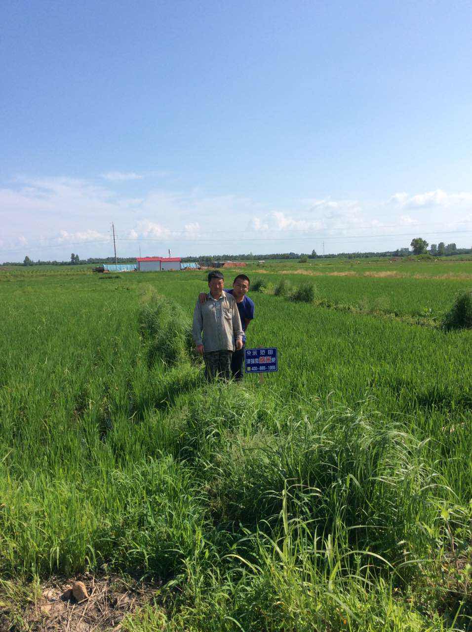 黑龙江案例分享