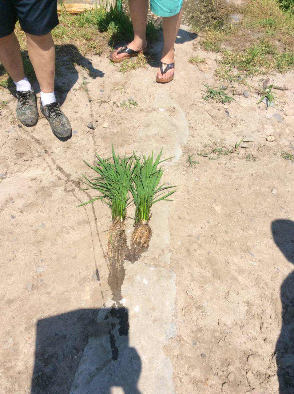 黑龙江案例分享