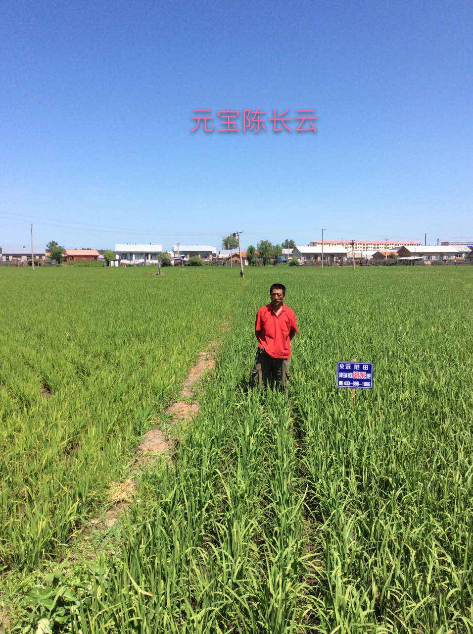 黑龙省案例分享