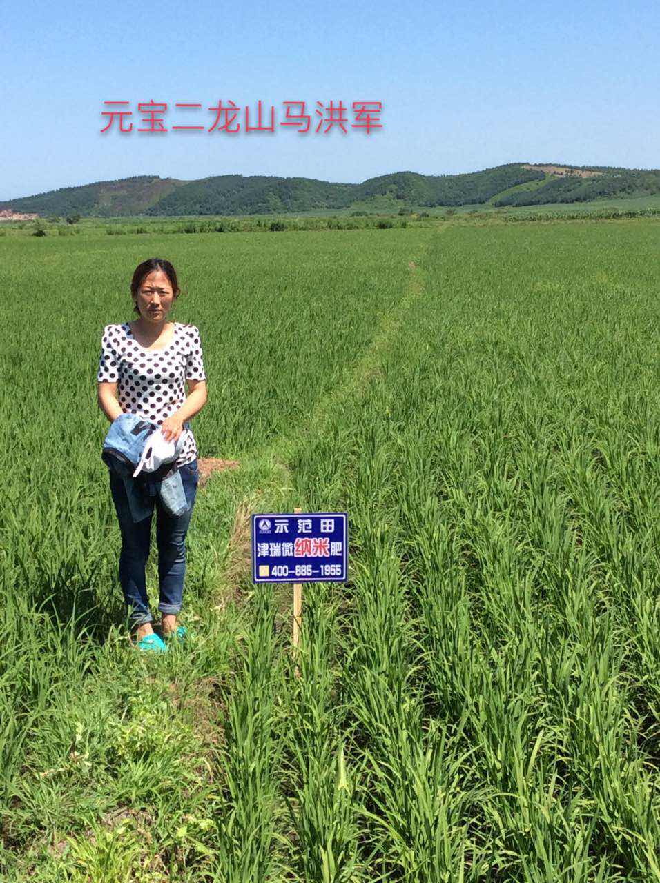 黑龙江省案例分享