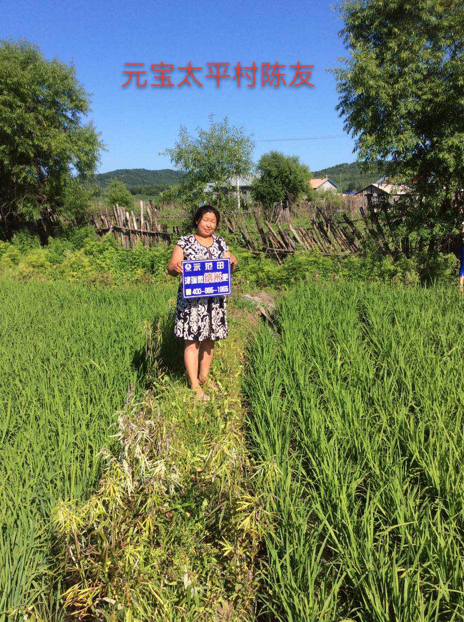 黑龙江省案例分享