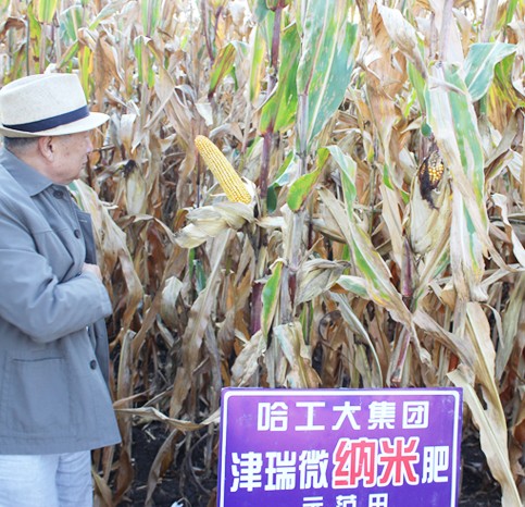 新型肥料