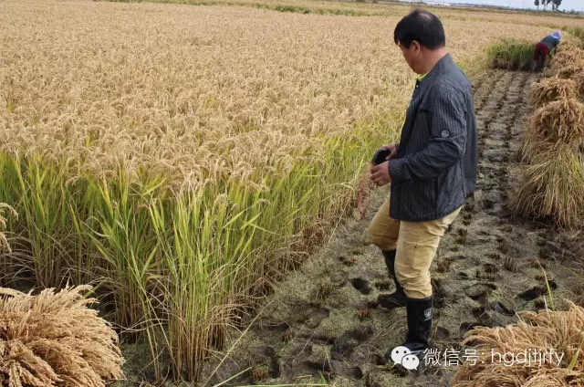 哈尔滨工大集团沈阳津瑞肥业有限公司